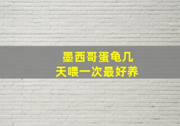 墨西哥蛋龟几天喂一次最好养