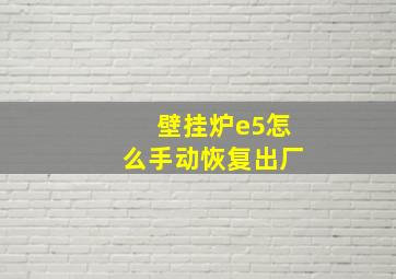 壁挂炉e5怎么手动恢复出厂