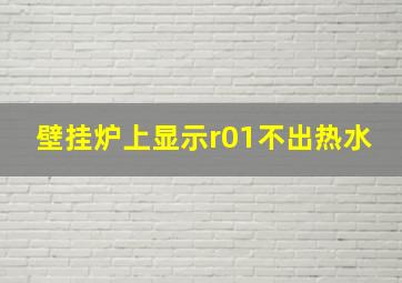 壁挂炉上显示r01不出热水