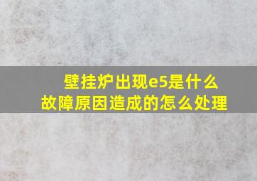 壁挂炉出现e5是什么故障原因造成的怎么处理