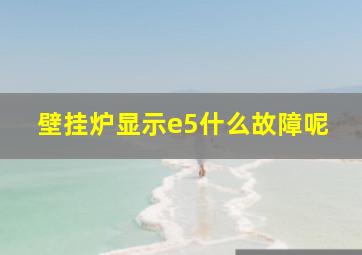 壁挂炉显示e5什么故障呢