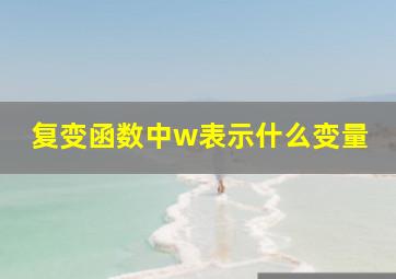 复变函数中w表示什么变量