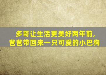 多哥让生活更美好两年前,爸爸带回来一只可爱的小巴狗