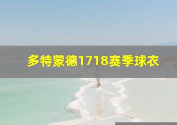 多特蒙德1718赛季球衣