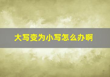 大写变为小写怎么办啊