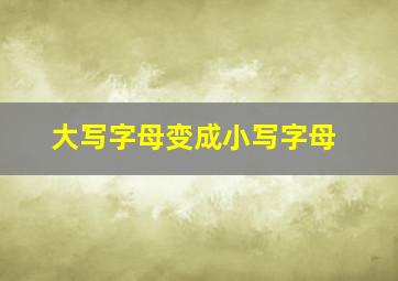 大写字母变成小写字母