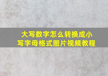 大写数字怎么转换成小写字母格式图片视频教程