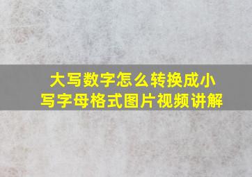 大写数字怎么转换成小写字母格式图片视频讲解