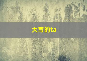 大写的ta