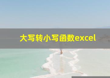 大写转小写函数excel