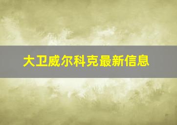 大卫威尔科克最新信息