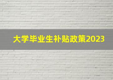 大学毕业生补贴政策2023