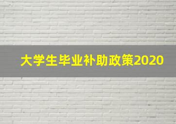 大学生毕业补助政策2020