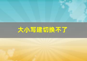 大小写建切换不了