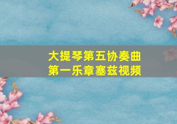 大提琴第五协奏曲第一乐章塞兹视频