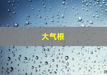 大气根