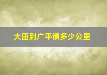 大田到广平镇多少公里