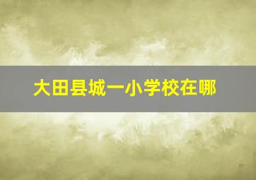 大田县城一小学校在哪