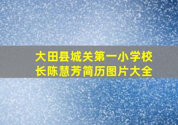 大田县城关第一小学校长陈慧芳简历图片大全