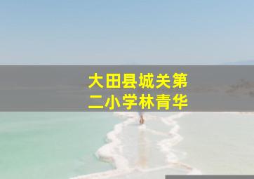 大田县城关第二小学林青华