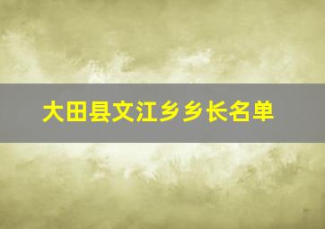 大田县文江乡乡长名单