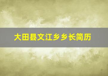 大田县文江乡乡长简历