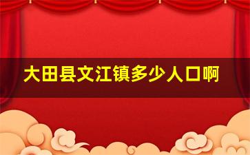 大田县文江镇多少人口啊