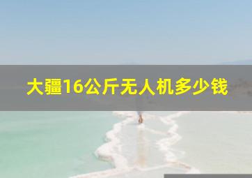 大疆16公斤无人机多少钱