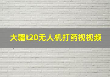 大疆t20无人机打药视视频