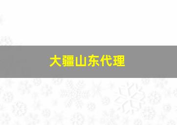 大疆山东代理