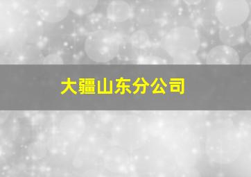 大疆山东分公司