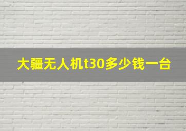 大疆无人机t30多少钱一台