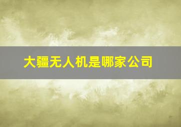 大疆无人机是哪家公司