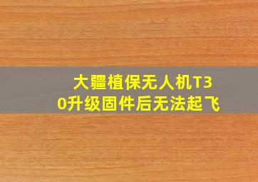 大疆植保无人机T30升级固件后无法起飞