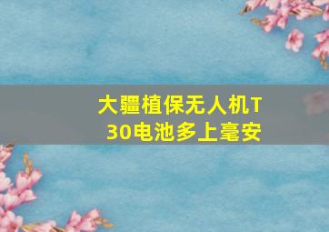 大疆植保无人机T30电池多上毫安