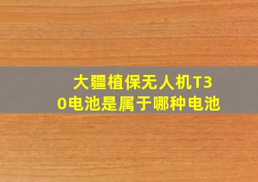 大疆植保无人机T30电池是属于哪种电池