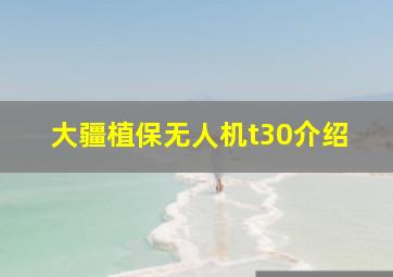 大疆植保无人机t30介绍