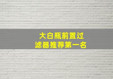 大白瓶前置过滤器推荐第一名