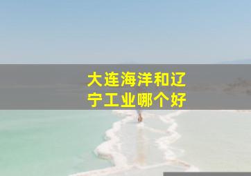 大连海洋和辽宁工业哪个好