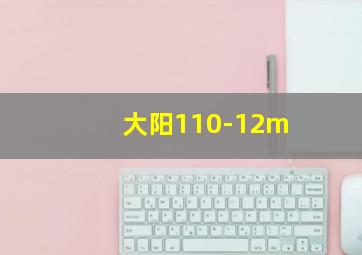 大阳110-12m