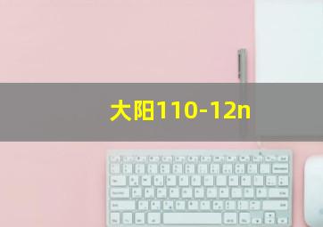 大阳110-12n