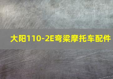 大阳110-2E弯梁摩托车配件