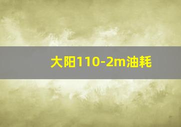 大阳110-2m油耗