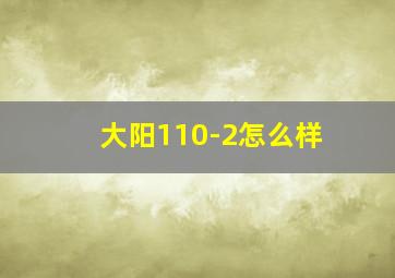 大阳110-2怎么样