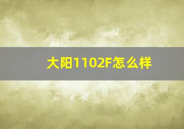 大阳1102F怎么样