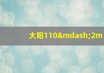 大阳110—2m