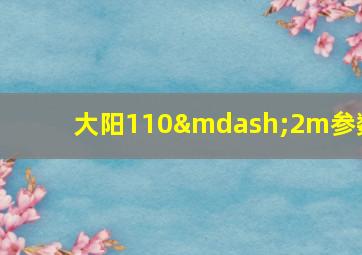 大阳110—2m参数