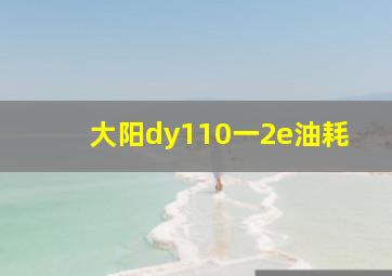 大阳dy110一2e油耗