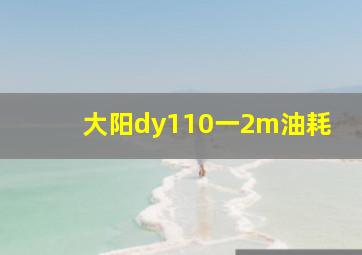 大阳dy110一2m油耗