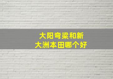 大阳弯梁和新大洲本田哪个好